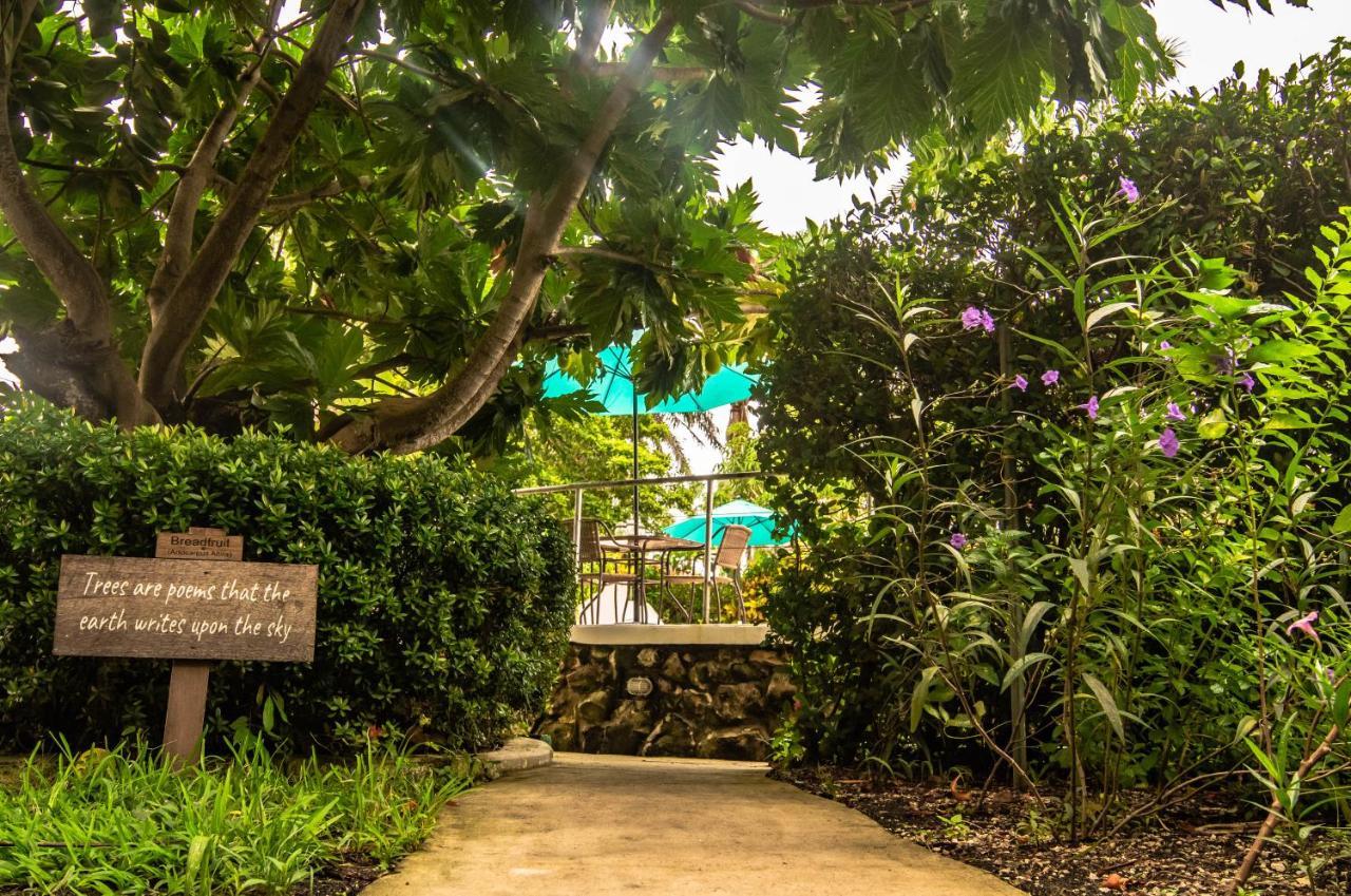 Harbour View Boutique Hotel & Yoga Retreat Belize City Exterior foto